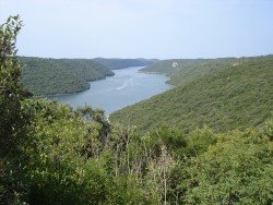 Лимский залив